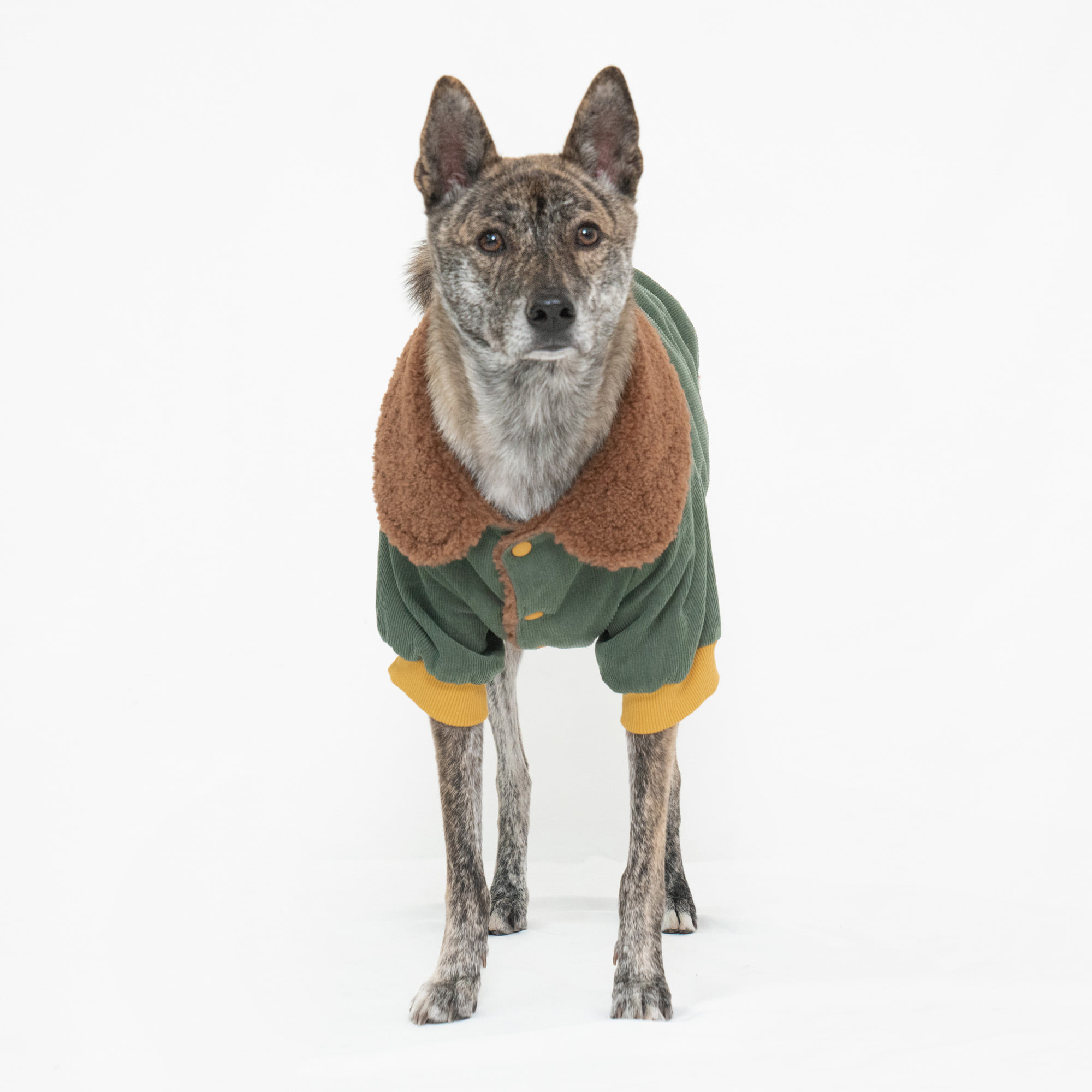 골덴 뽀글이 리버시블 강아지 패딩 브라운