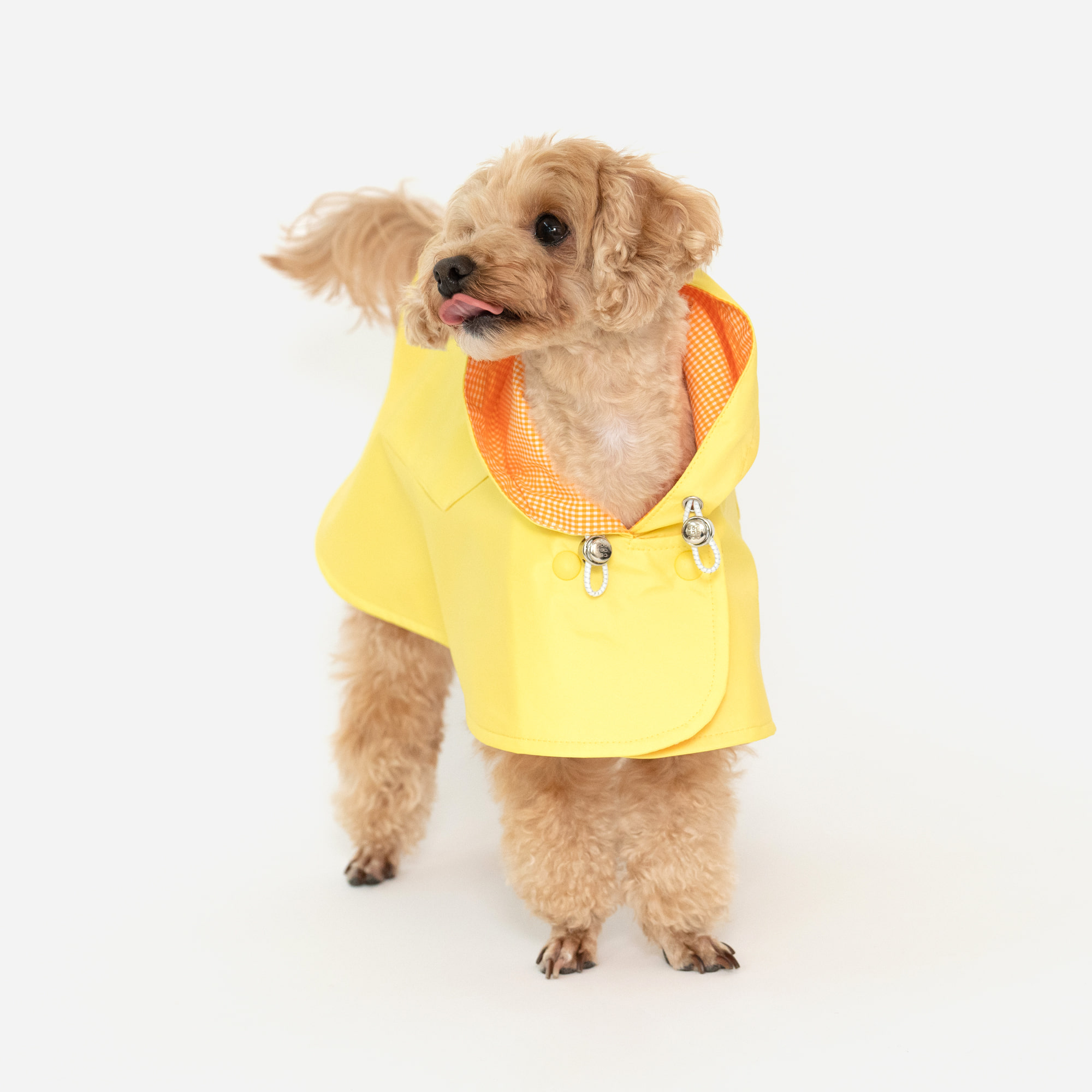 체크 리버시블 강아지 옷 레인코트 옐로우