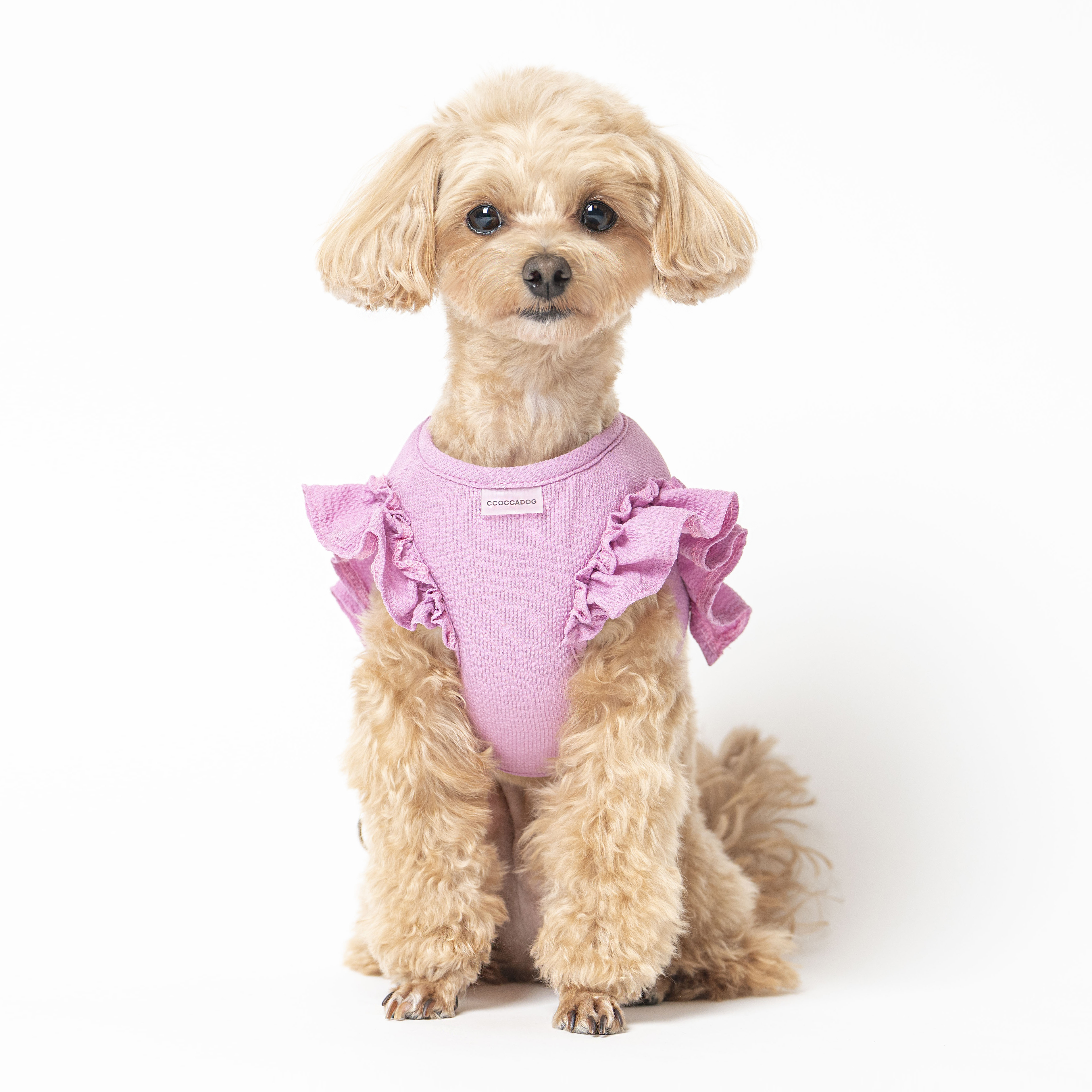 [뉴컬러] 라피네 프릴 강아지 하네스옷 핑크
