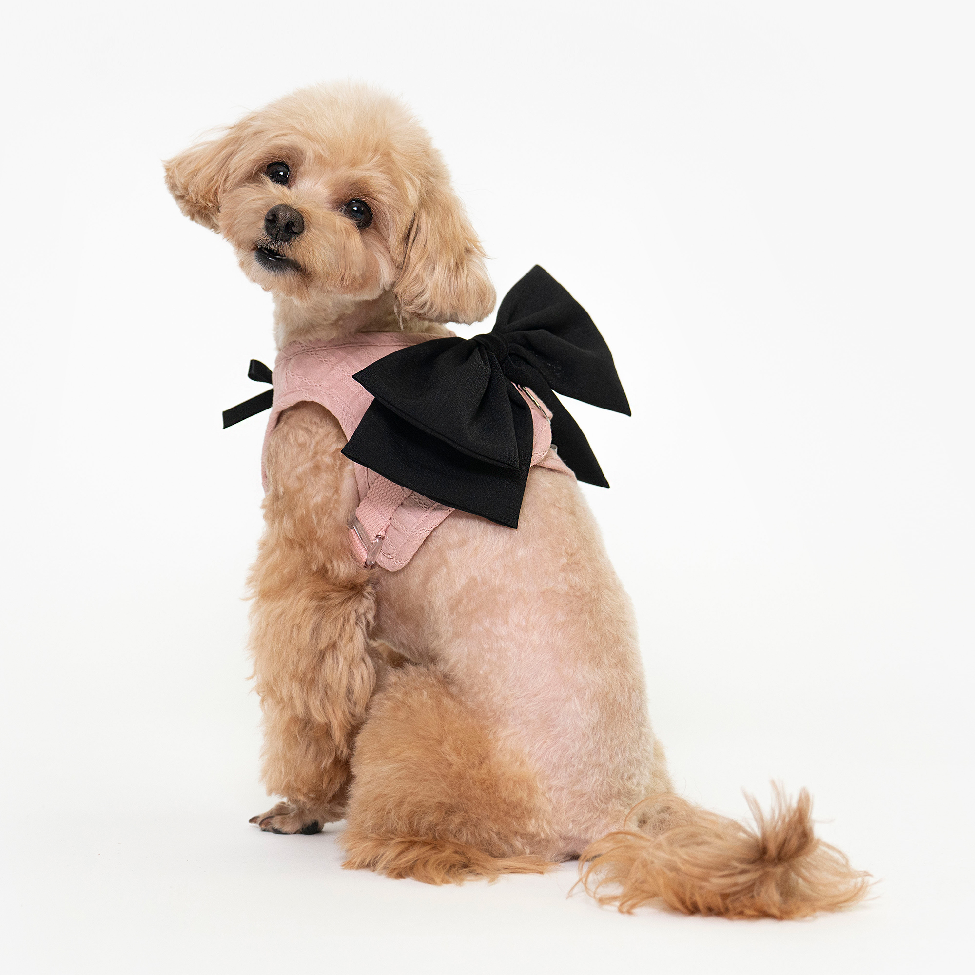 프렌치 리본 강아지 하네스옷 핑크